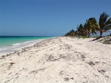 Das Hotel Melia Cayo Coco,_DSC01614_B720